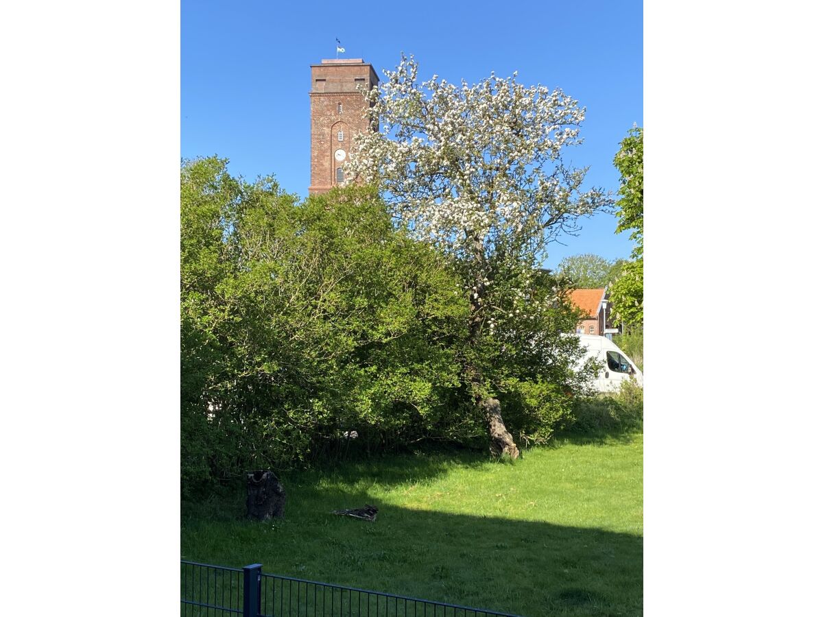 Blick vom Balkon